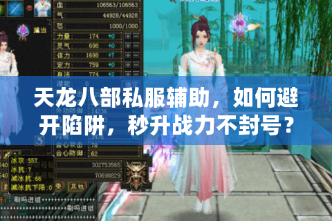 天龙八部私服辅助，如何避开陷阱，秒升战力不封号？