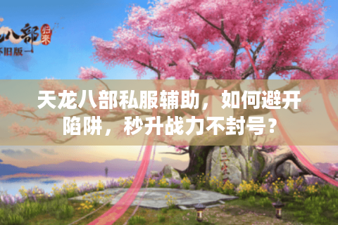 天龙八部私服辅助，如何避开陷阱，秒升战力不封号？